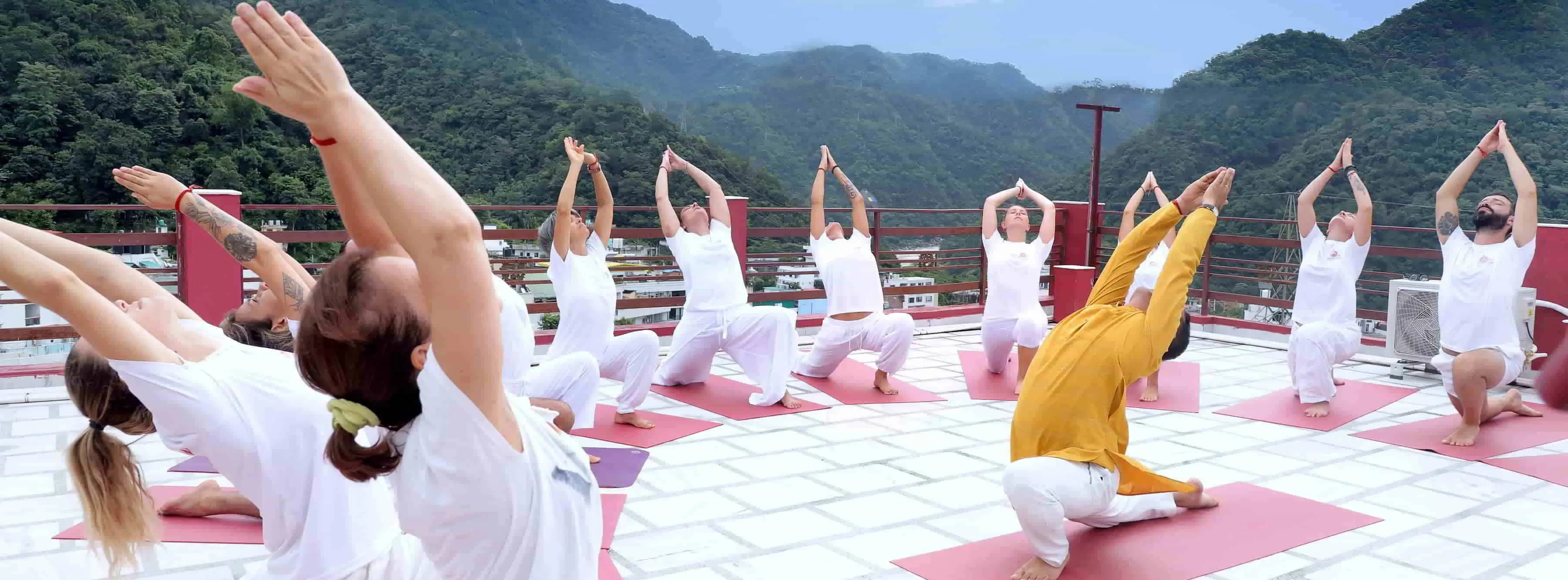 Authentic Yoga School in Rishikesh - Himalayan Yoga Association